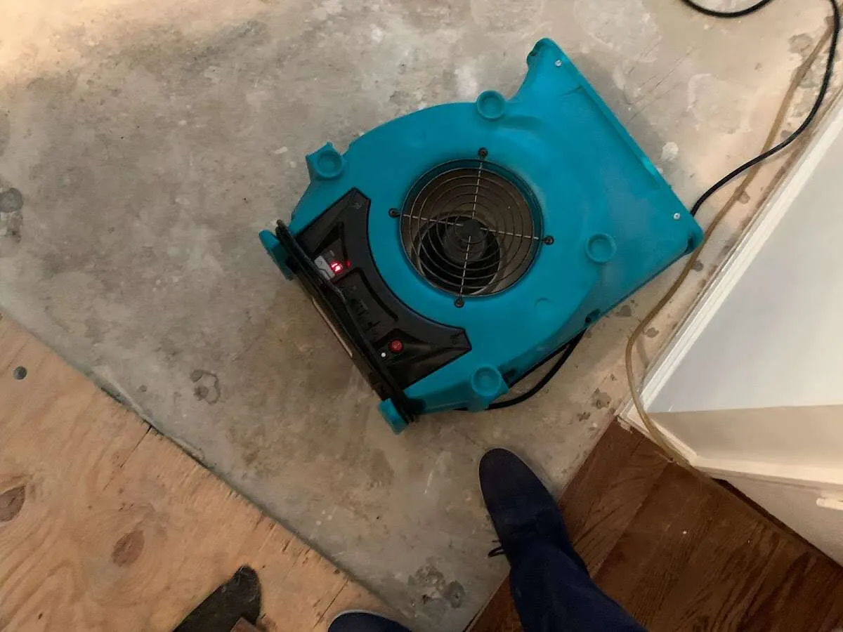 Air mover drying subfloor during Commercial Water Damage Restoration in Rosaryville